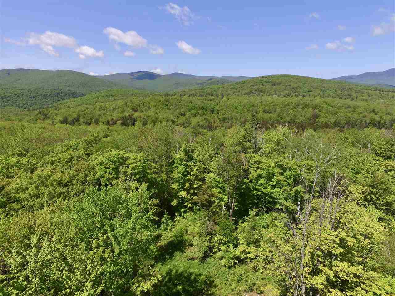 1480 Prickly Mountain Road - Photo 1