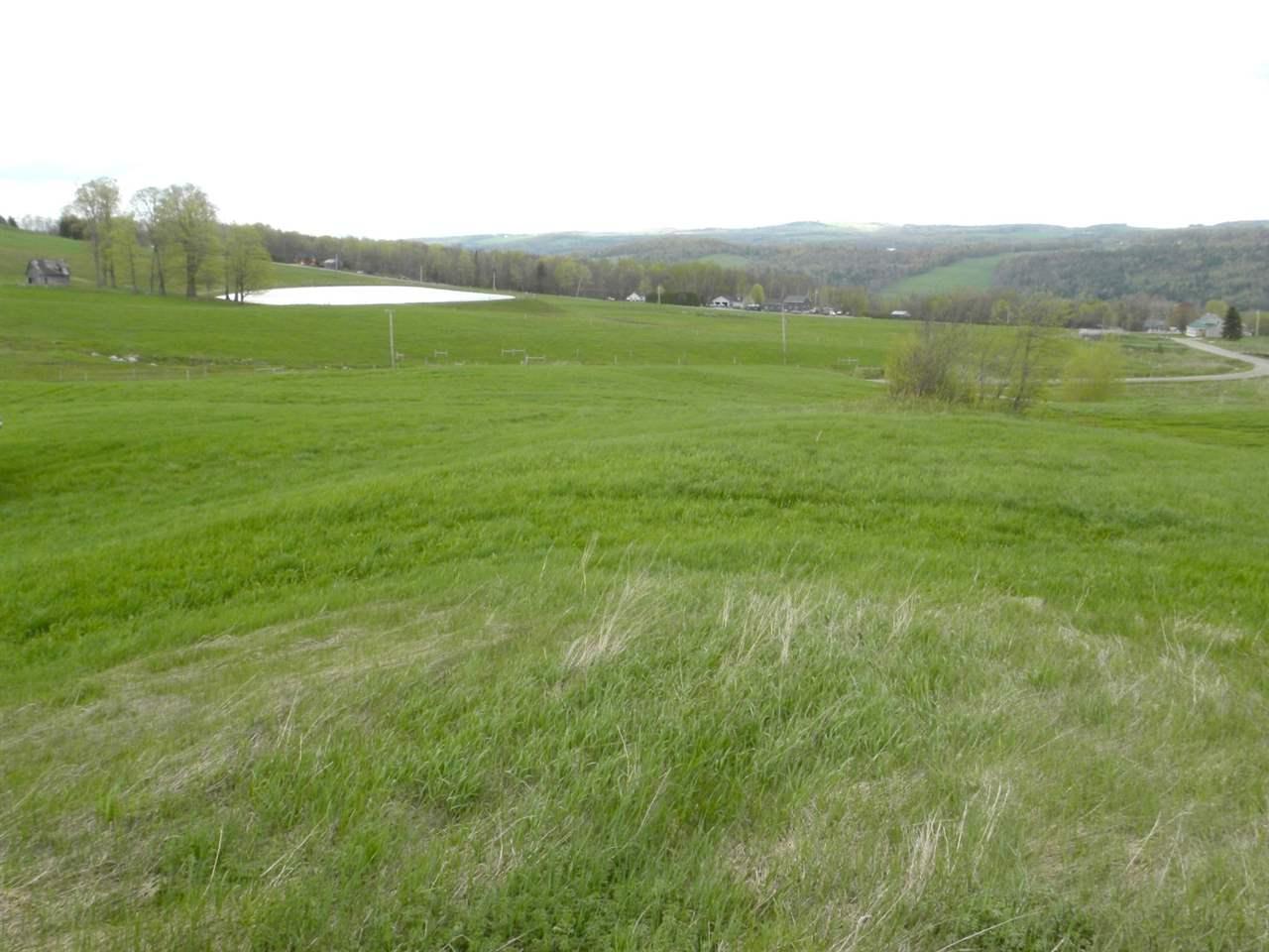 865 Dane Hill Road - Photo 1