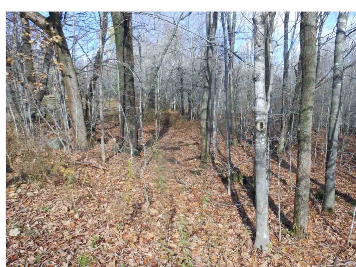 Lot 2 Brookview Lane - Photo 1