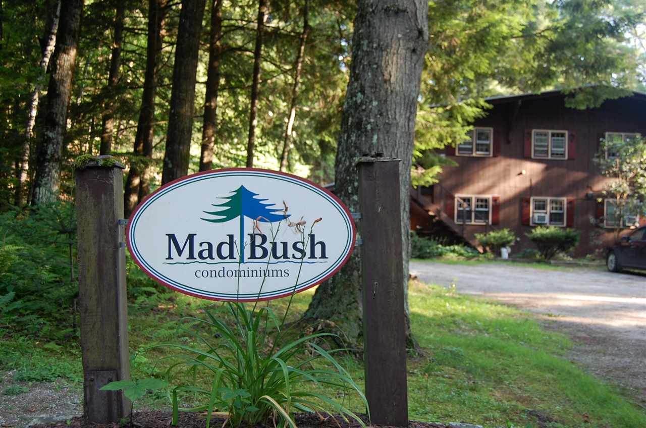 203 Madbush - Photo 1 203 Madbush - Photo 1