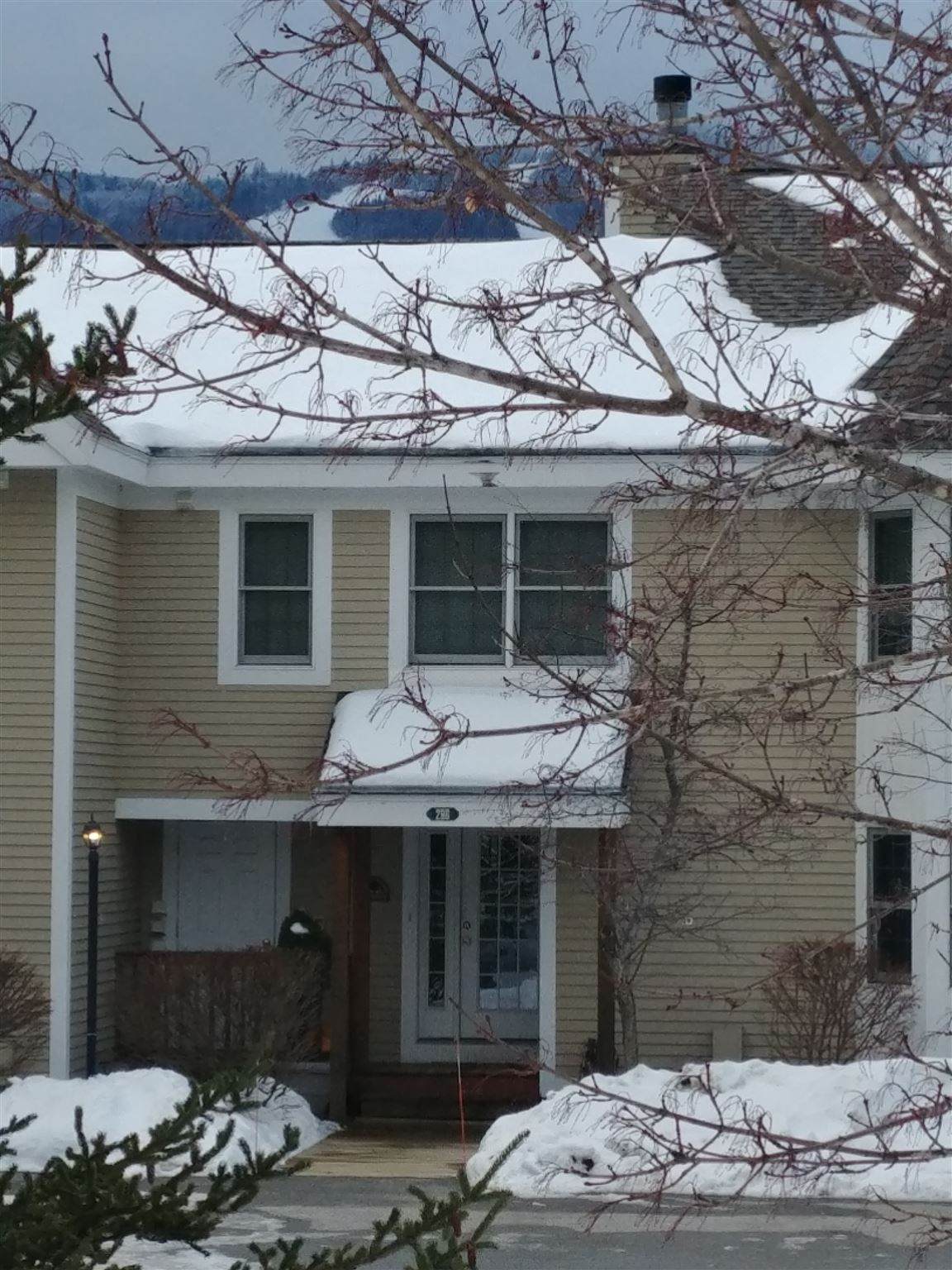 29B Dover Springs Lane - Photo 1
