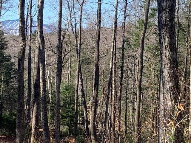 32 Old County East Road - Photo 1