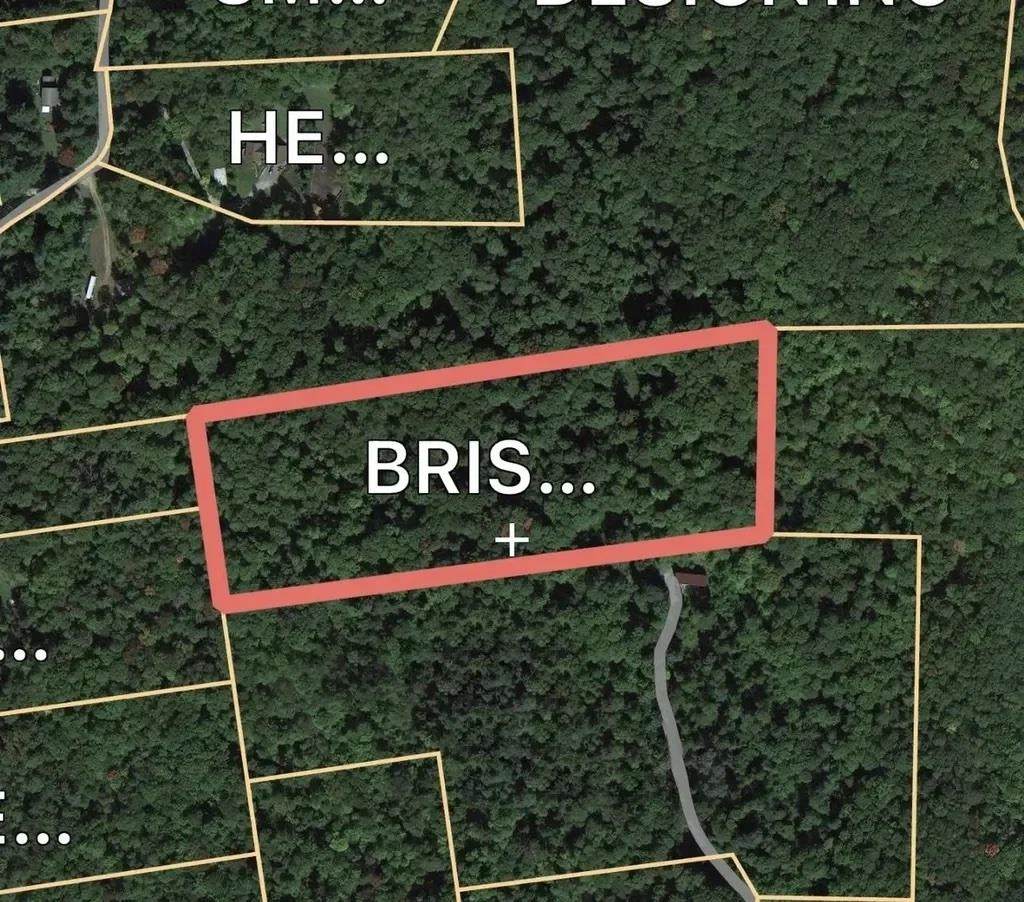 TBD Blackberry Lane - Photo 1