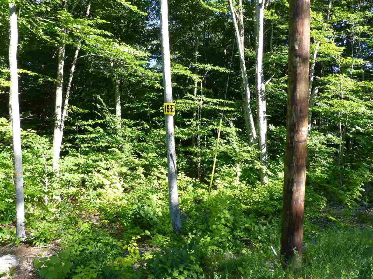 15 E Buzzell Ridge Road - Photo 1