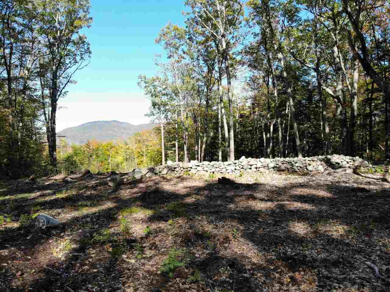 15 J Buzzell Ridge Road - Photo 1