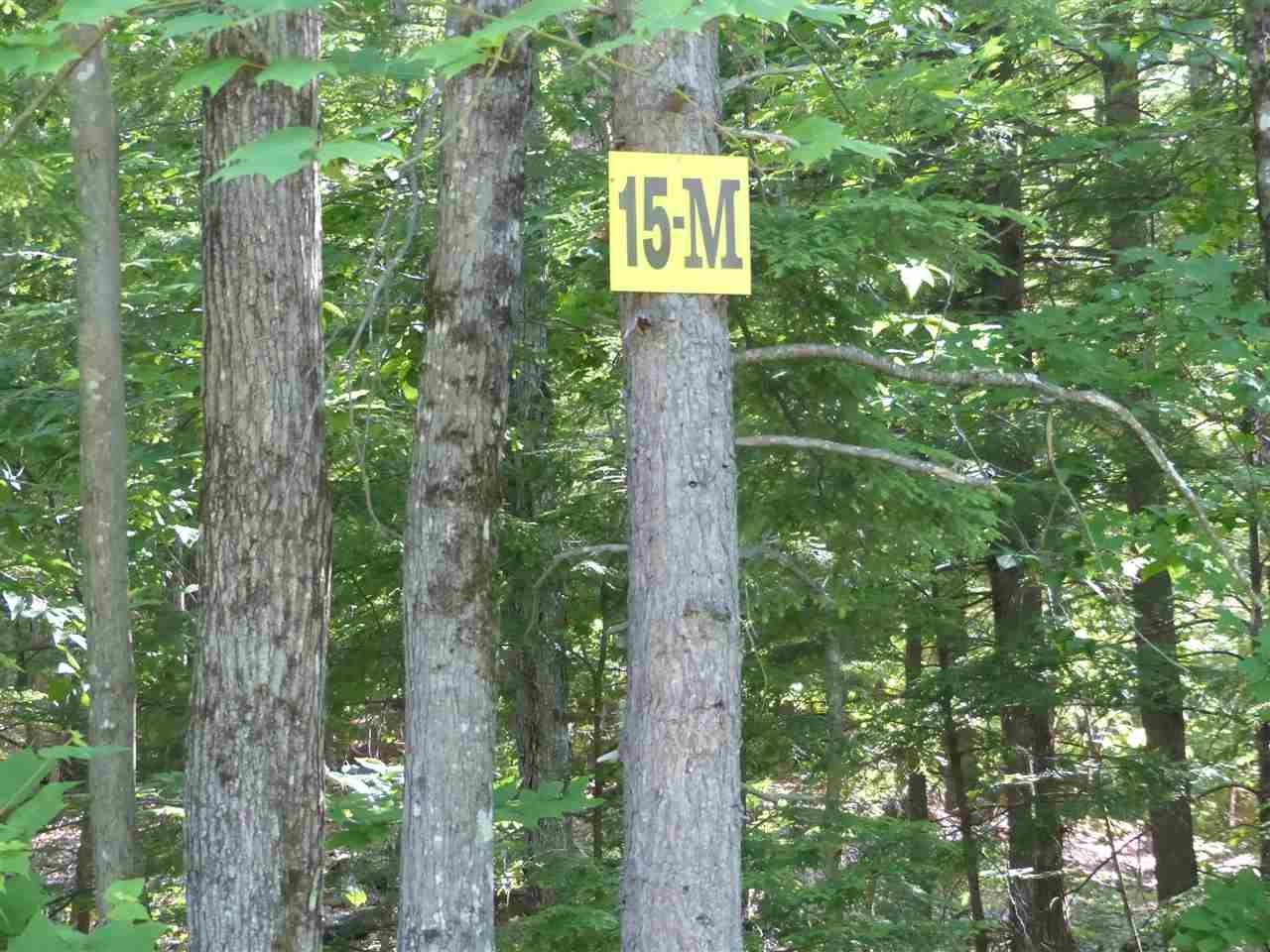 15 M Buzzell Ridge Road - Photo 1