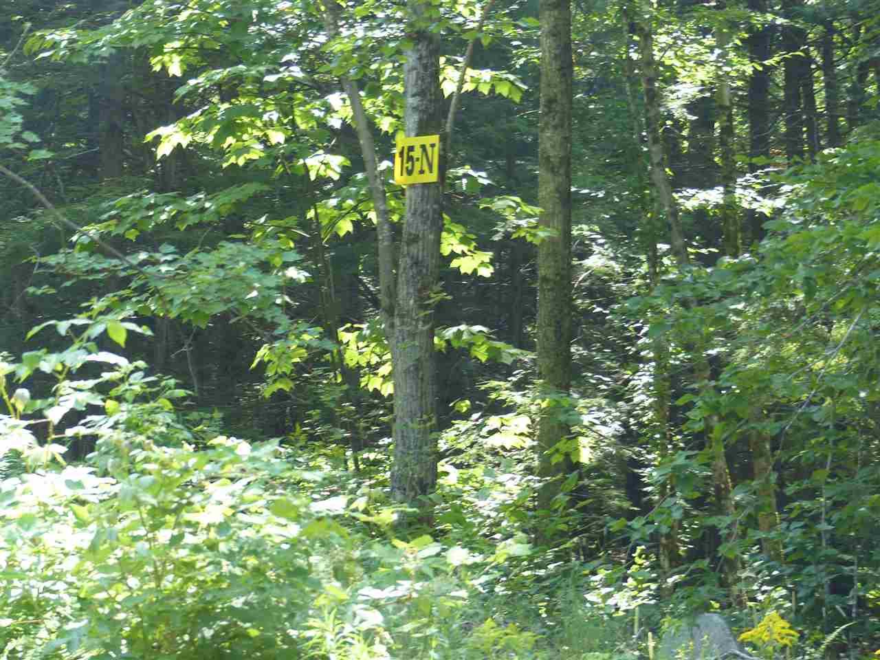 15 N Buzzell Ridge Road - Photo 1