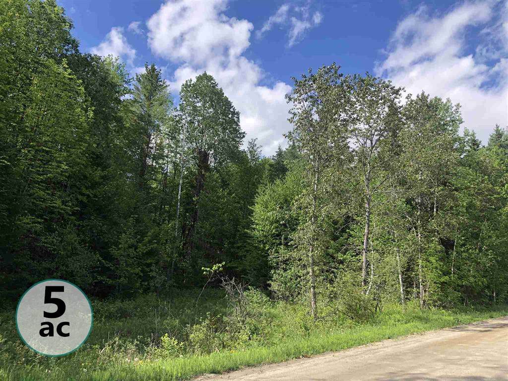 00 Vertical Mile Road - Photo 1
