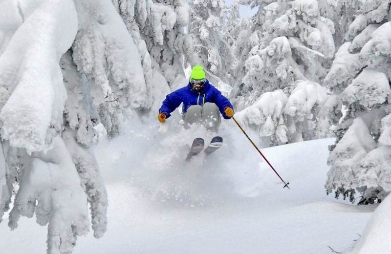 9 Top Notch Road - Photo 1