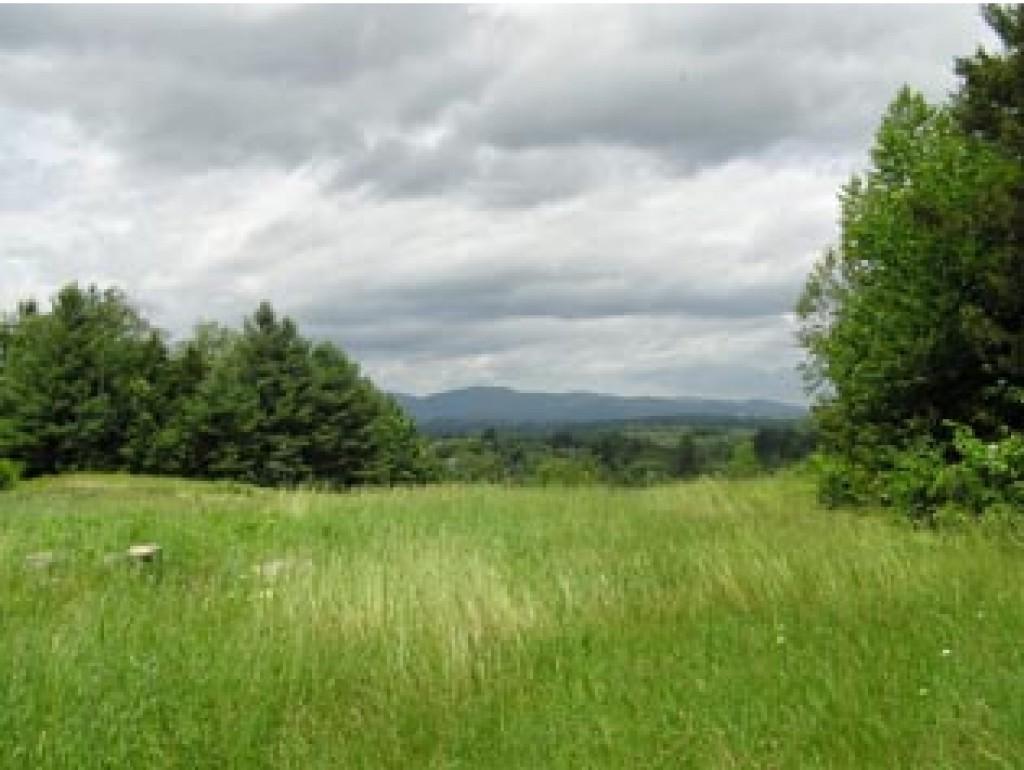 Lot 4 Beacon Hill - Photo 1