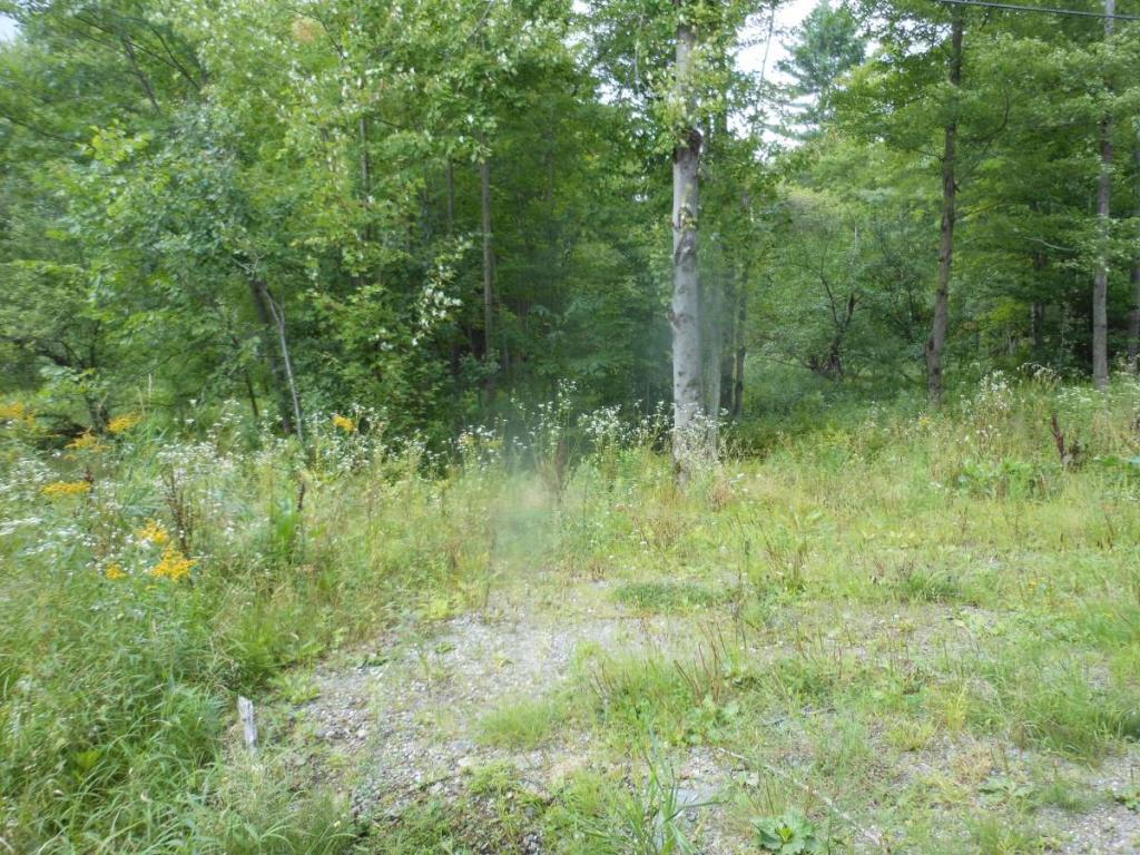 15 acres Apple Tree Drive - Photo 1
