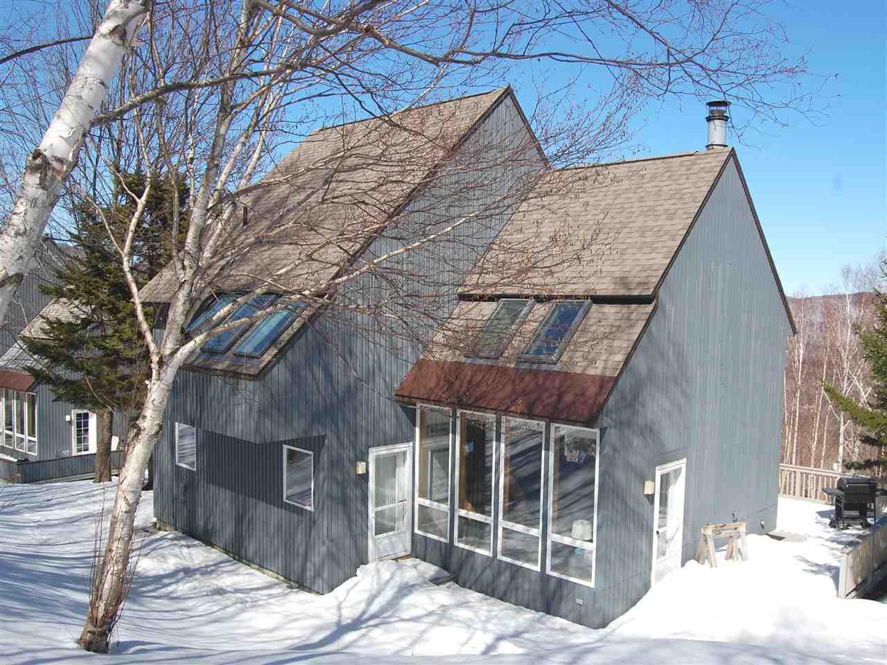454 South Village Boulevard - Photo 1