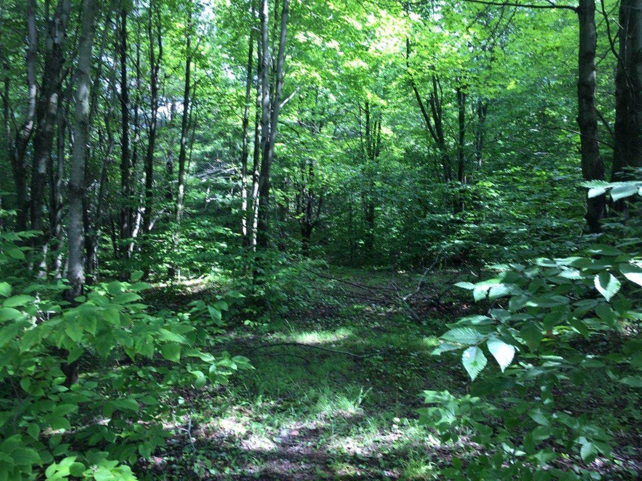 0 Main Road - Photo 1