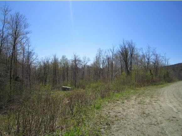 Lot 6 Candeleros Court - Photo 1
