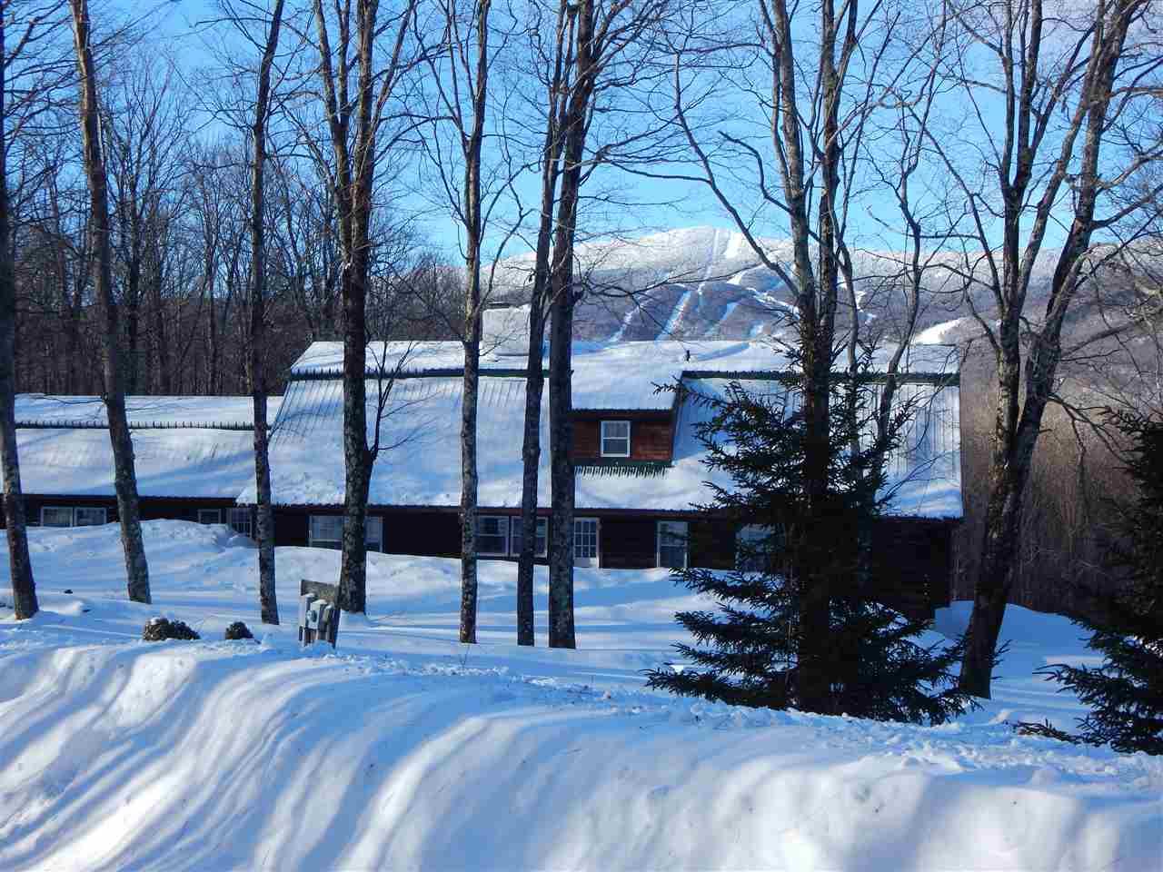 659 Phen Basin Road - Photo 1
