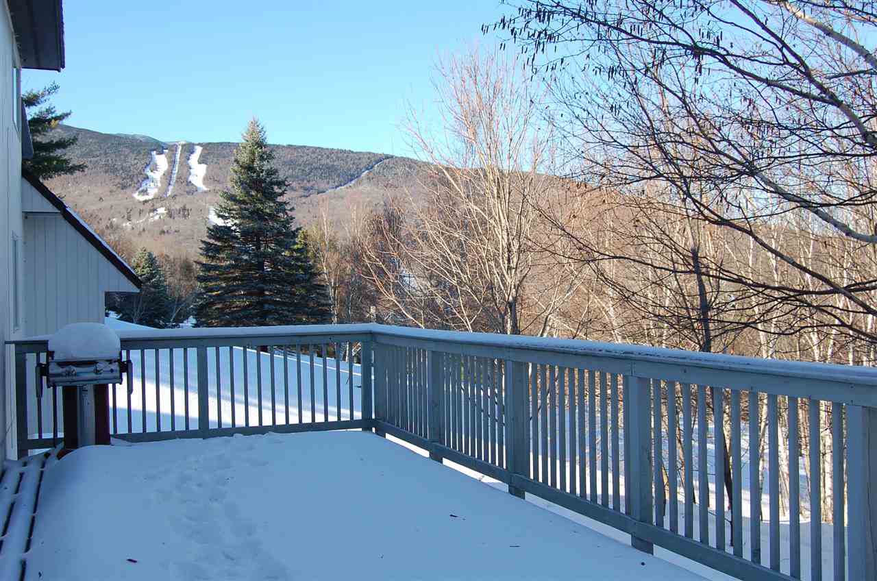 64 South Village Drive - Photo 1
