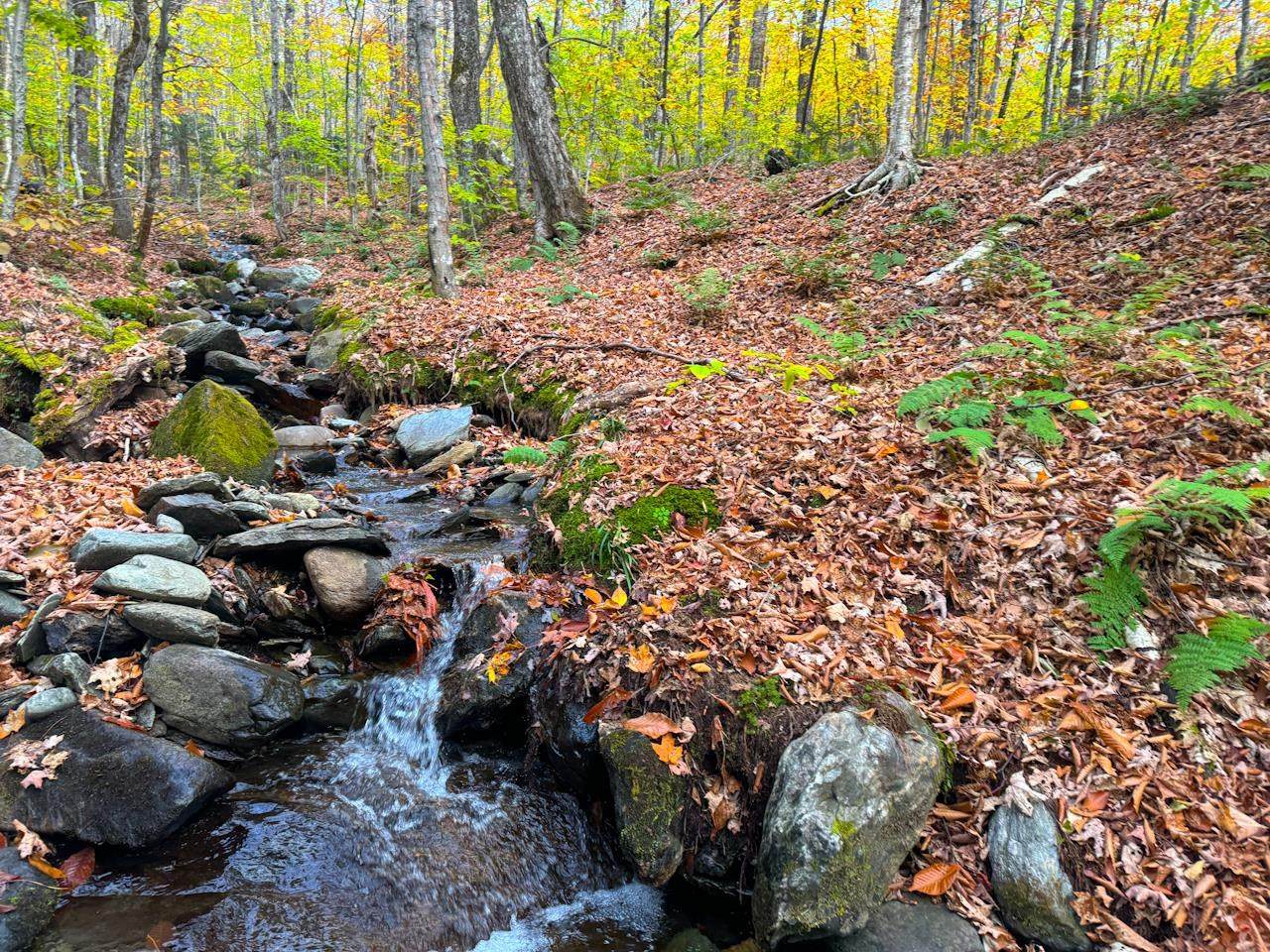 0 Cider Mountain Road - Photo 1