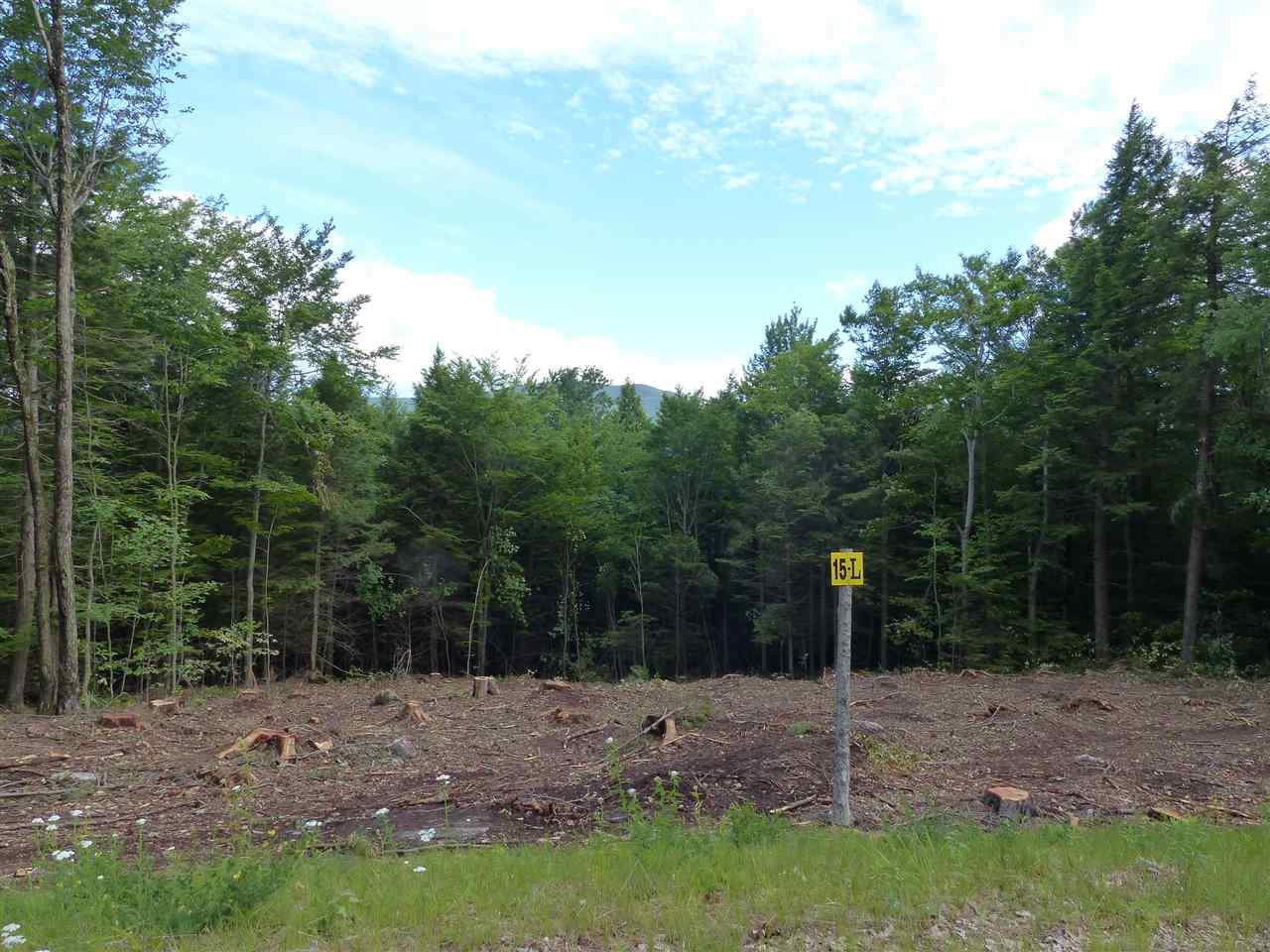 15 L Buzzell Ridge Road - Photo 1