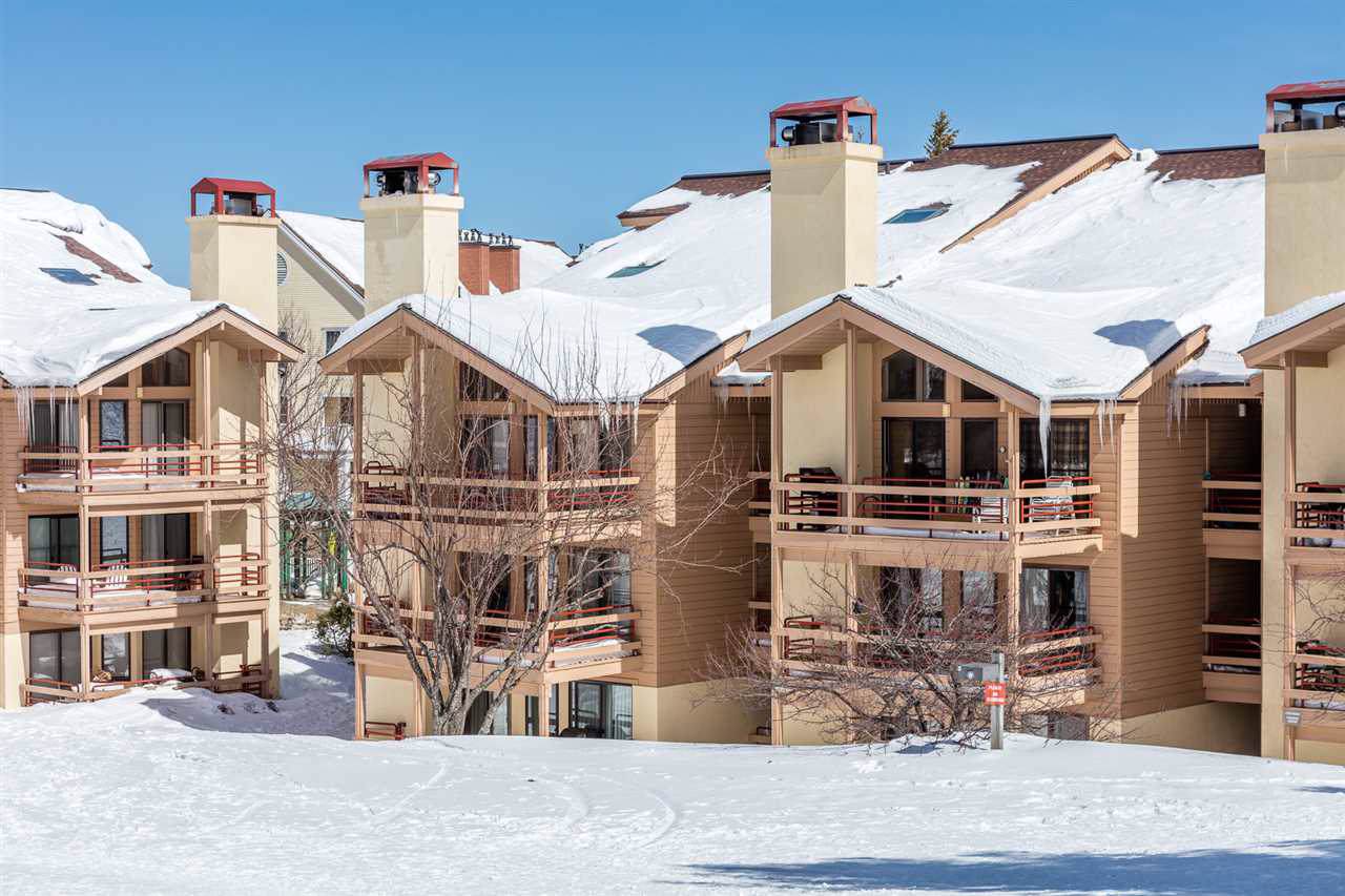 778 Stratton Mountain Access Road - Photo 1