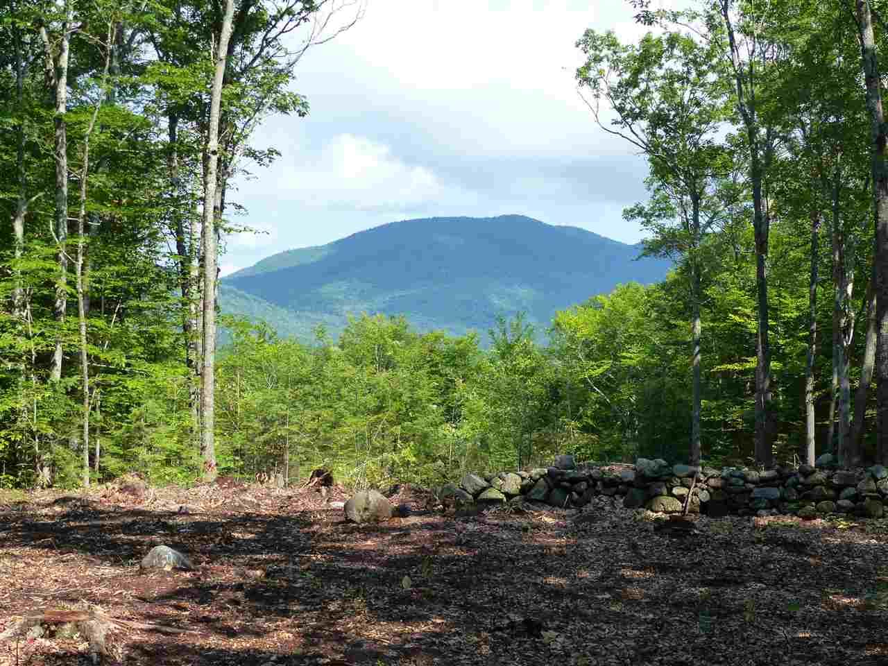 15 J Buzzell Ridge Road - Photo 1