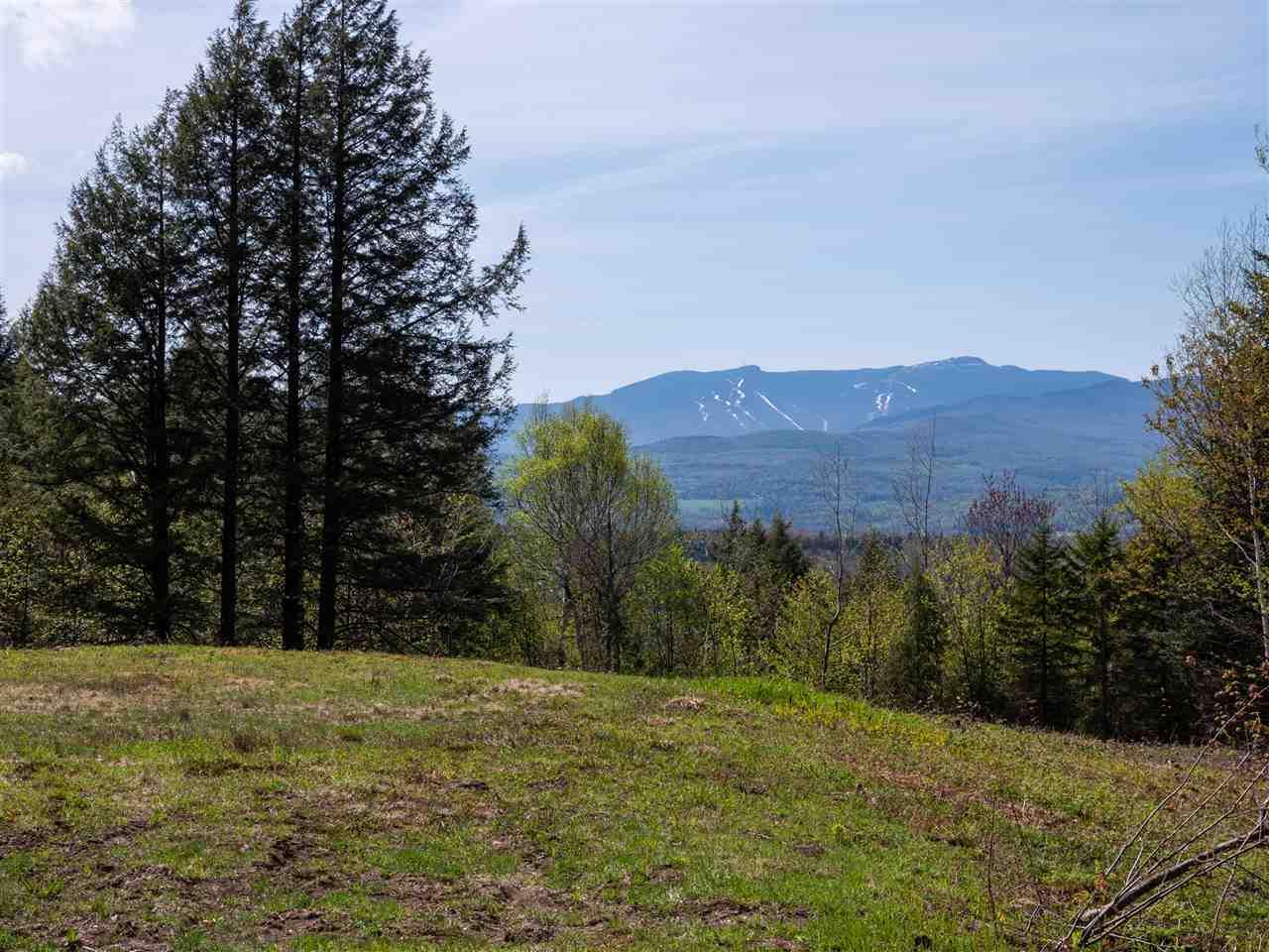 Lot #12 Worcester Ridge North Road - Photo 1