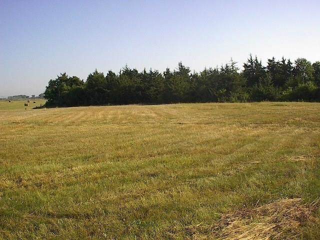 84208 Valley Drive Rd. - Photo 1