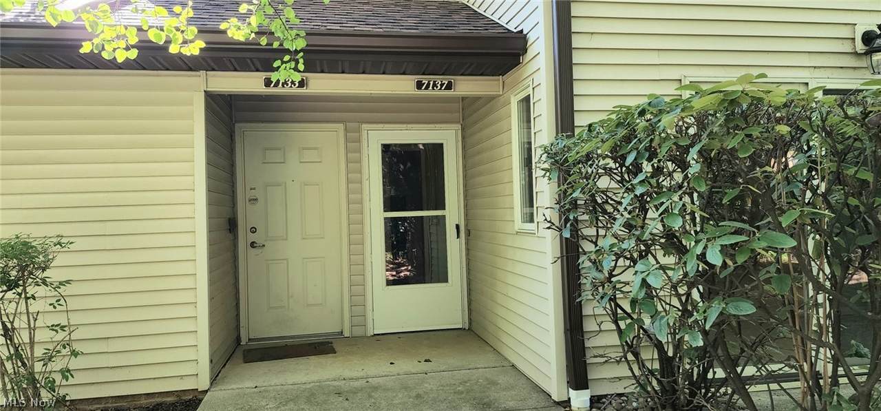 7137 Village Drive - Photo 1