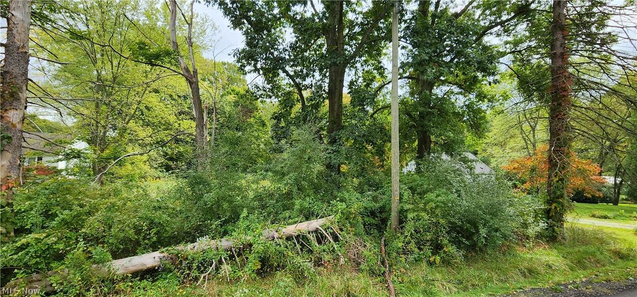 6437 Hampsher Road - Photo 1