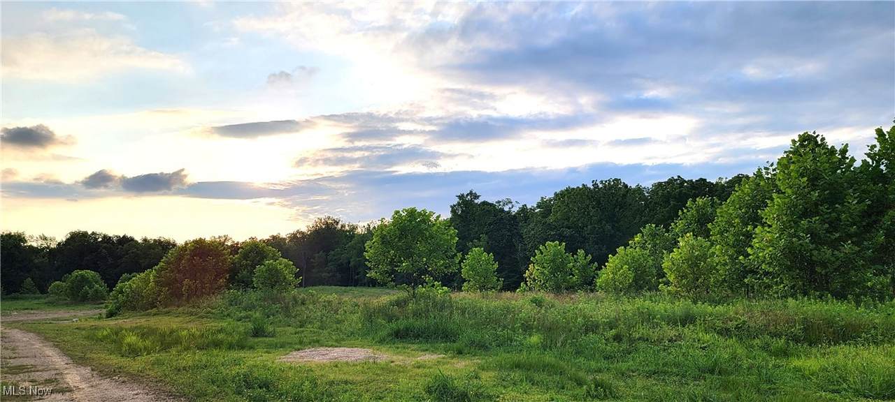 VL 2 Hidden Ridge Road - Photo 1