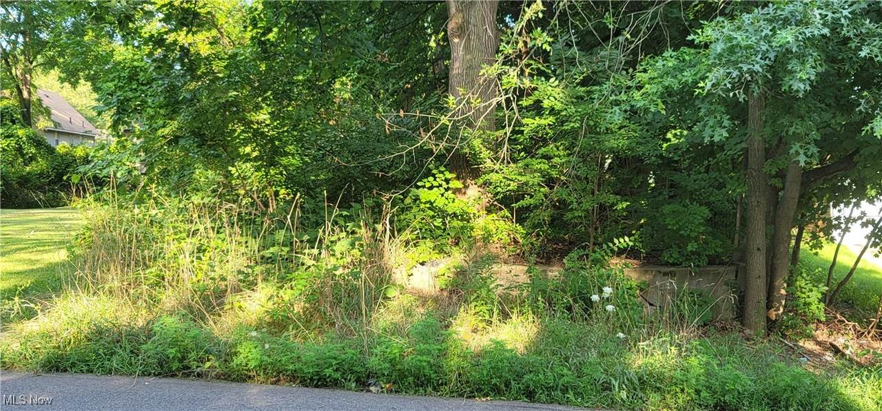  Garfield Street - Photo 1