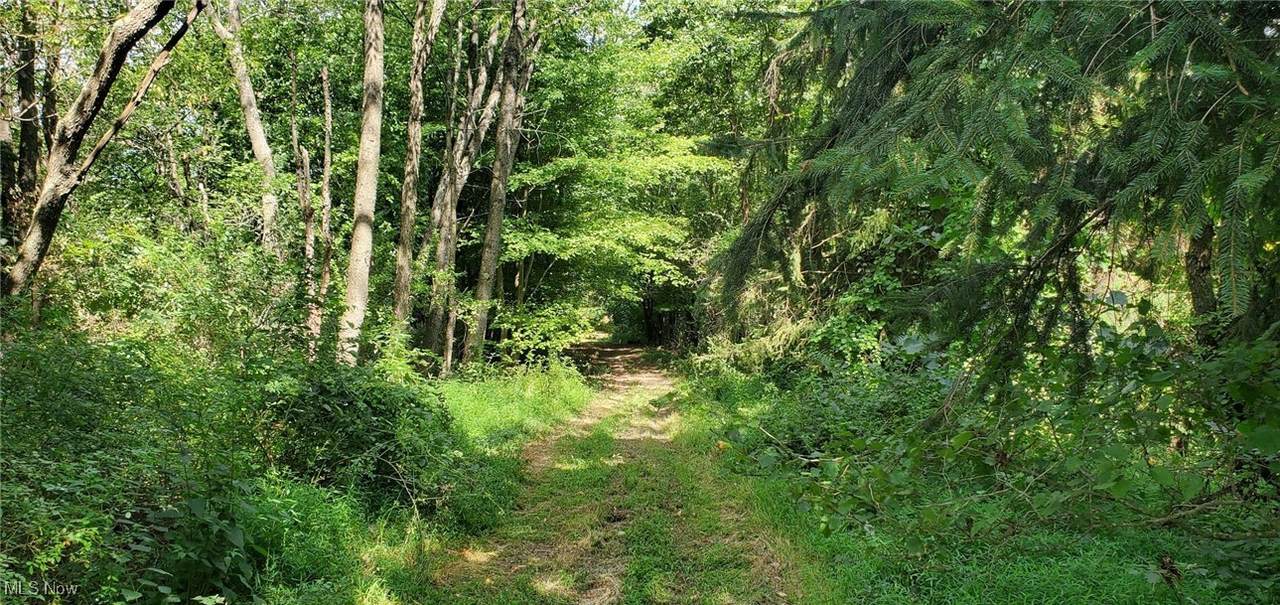 TBD Fairview Road - Photo 1