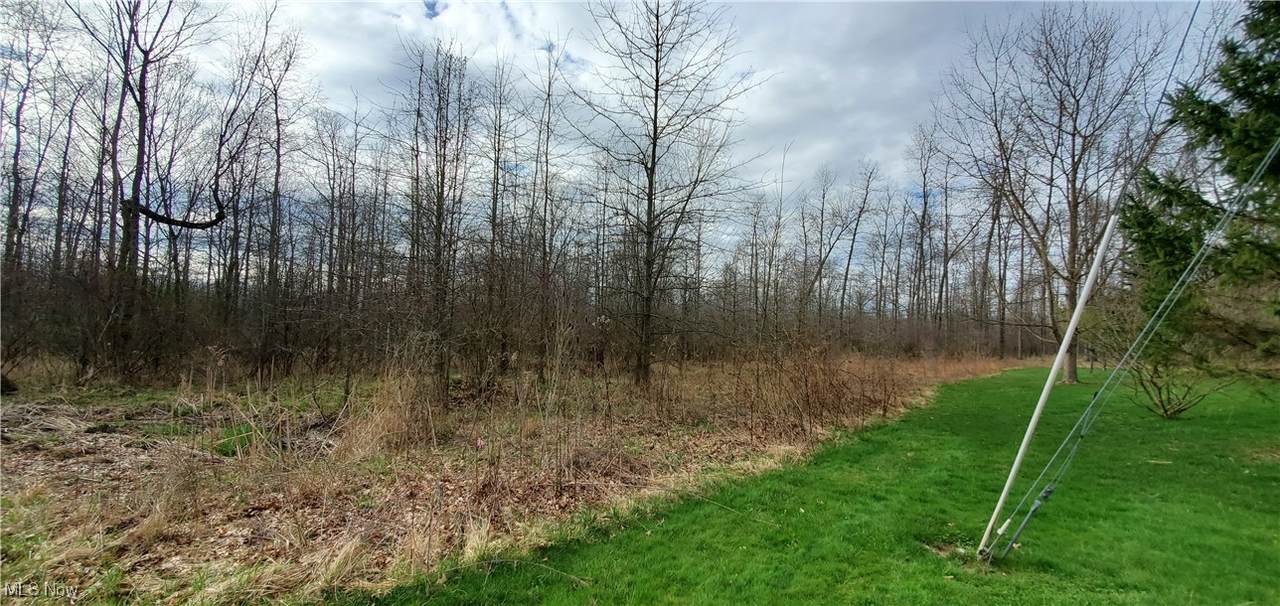 0 Nevada Avenue - Photo 1