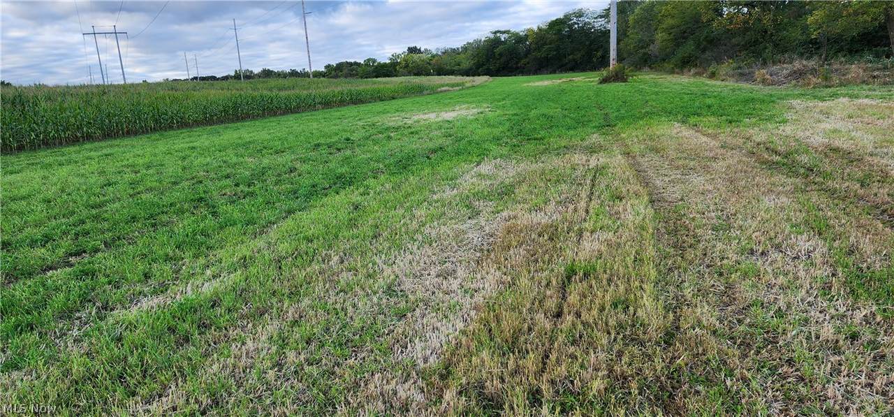 V/L Strub Road - Photo 1