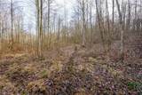 Lot 6 Wilbur Bush Road - Photo 10