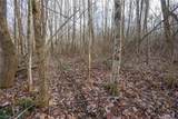 Lot 6 Wilbur Bush Road - Photo 12