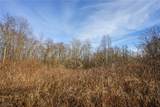Lot 6 Wilbur Bush Road - Photo 2