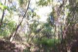  Arlington Road - Photo 3
