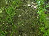  Sherwood Avenue - Photo 10
