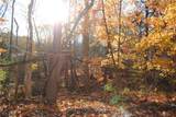  Mill Hollow Lane - Photo 2