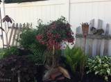 524 3rd Street - Photo 39