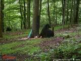 956 Hog Run Road - Photo 28