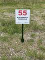 55 Blue Heron Court - Photo 10