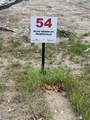 54 Blue Heron Court - Photo 10