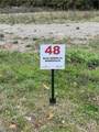 48 Blue Heron Court - Photo 10