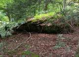  6 Ac Wolf Creek - Photo 2