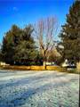  Orange Drive - Photo 1