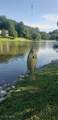 544 Maple Lake Road - Photo 21