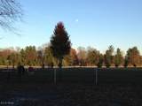 2298 Ridge Road - Photo 8