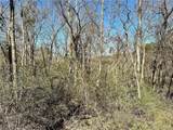 0 Fisher Ridge Rd, Tract 6 - Photo 4