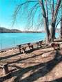 37031 Muskingum Street - Photo 8
